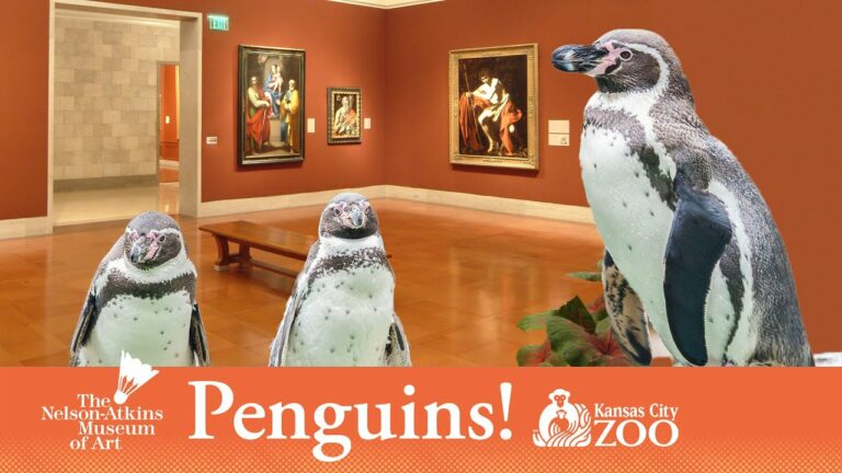 Pingwiny w muzeum