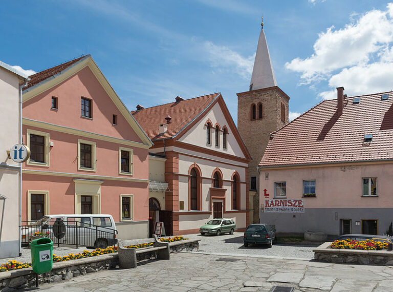 Asystent w Muzeum Filumenistycznym w Bystrzycy Kłodzkiej