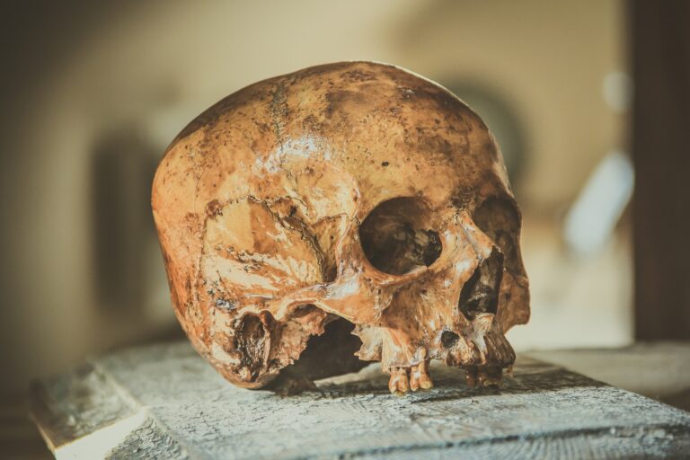 Neandertalczycy dbali o zęby – naukowcy przebadali znaleziska z Jaskini Stajnia