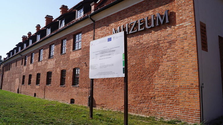 Referent/specjalista ds. organizacji wystaw w Muzeum Archeologiczno-Historycznym w Elblągu