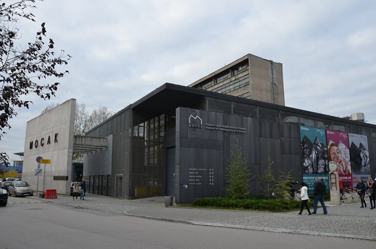 Adiunkt w Muzeum Sztuki Współczesnej w Krakowie MOCAK