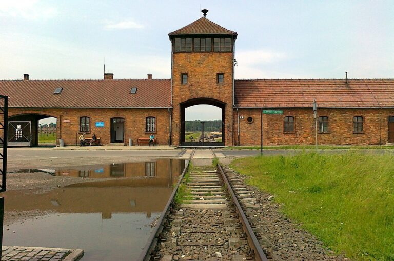 Asystent konserwatorski/konserwator w Państwowym  Muzeum Auschwitz-Birkenau w Oświęcimiu