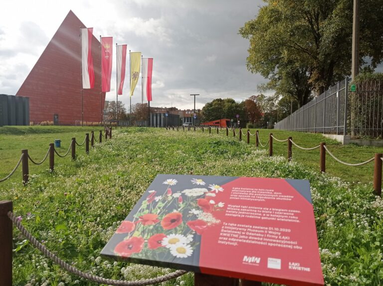Zielone inicjatywy Muzeum II Wojny Światowej w Gdańsku