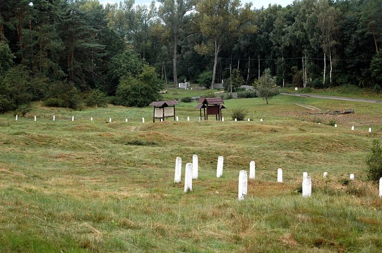 Kurhany i pochówek szkieletowy odkryte na Wzgórzu Wisielców w Wolinie