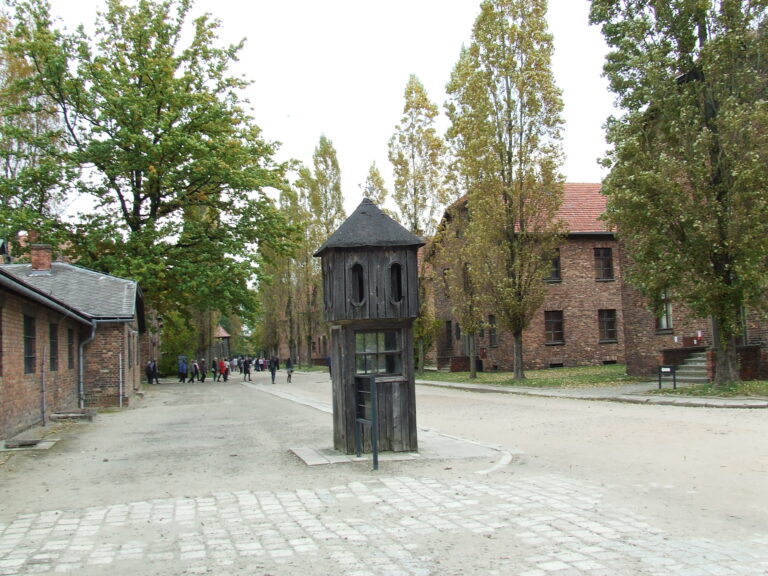 Asystent konserwatorski w Państwowym Muzeum Auschwitz-Birkenau w Oświęcimiu