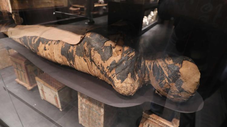 Badacze: w mumii Egipcjanki należącej do UW odkryto przypuszczalne ślady po nowotworze