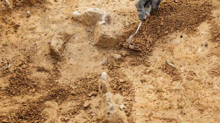 Współczesna archeologia: nie kopanie, a poznanie