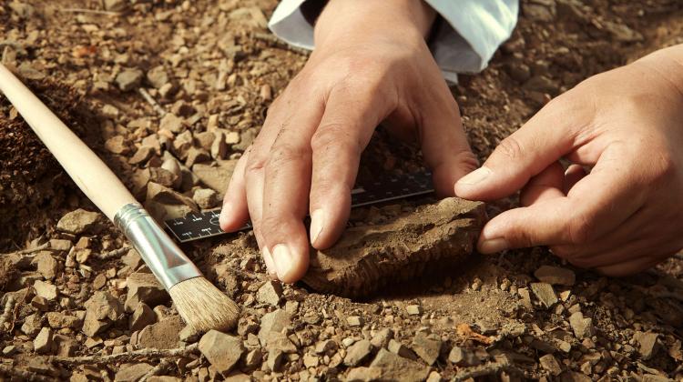 Archeologiczne skarby z jeziora Nidajno na wystawie w Muzeum w Mrągowie