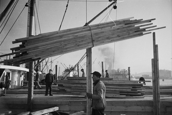Rola drewna w historii Gdyni