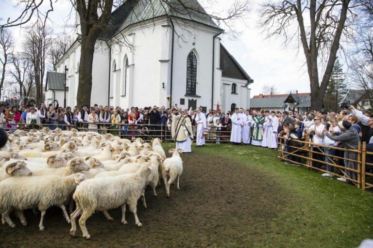 Wiosenny Redyk w Ludźmierzu