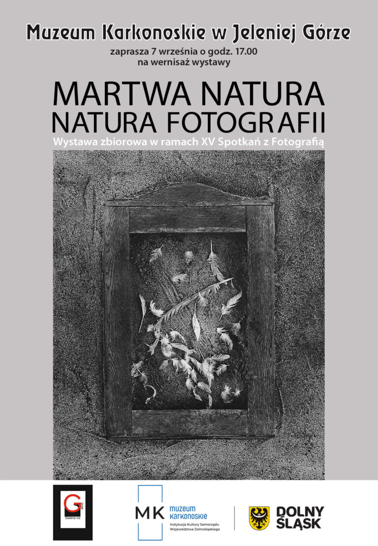 Martwa Natura / Natura Fotografii