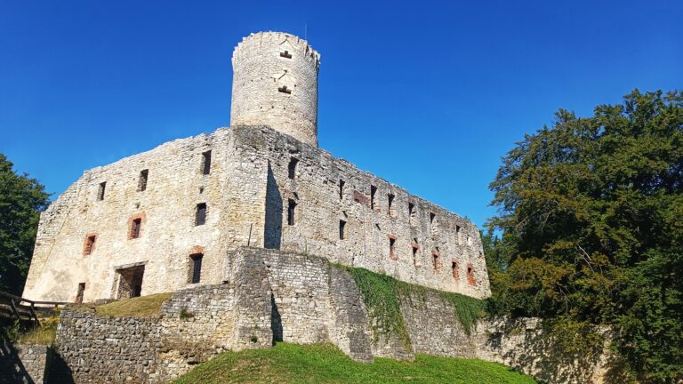 Ogłoszenie o naborze na wolne stanowisko pracy Historyk w Muzeum Małopolski Zachodniej w Wygiełzowie.