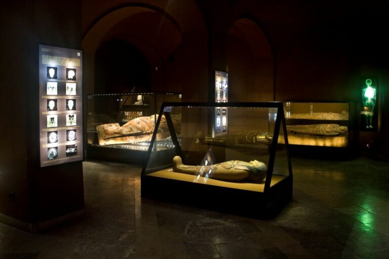 Niedzielne zwiedzanie wystaw z archeologiem