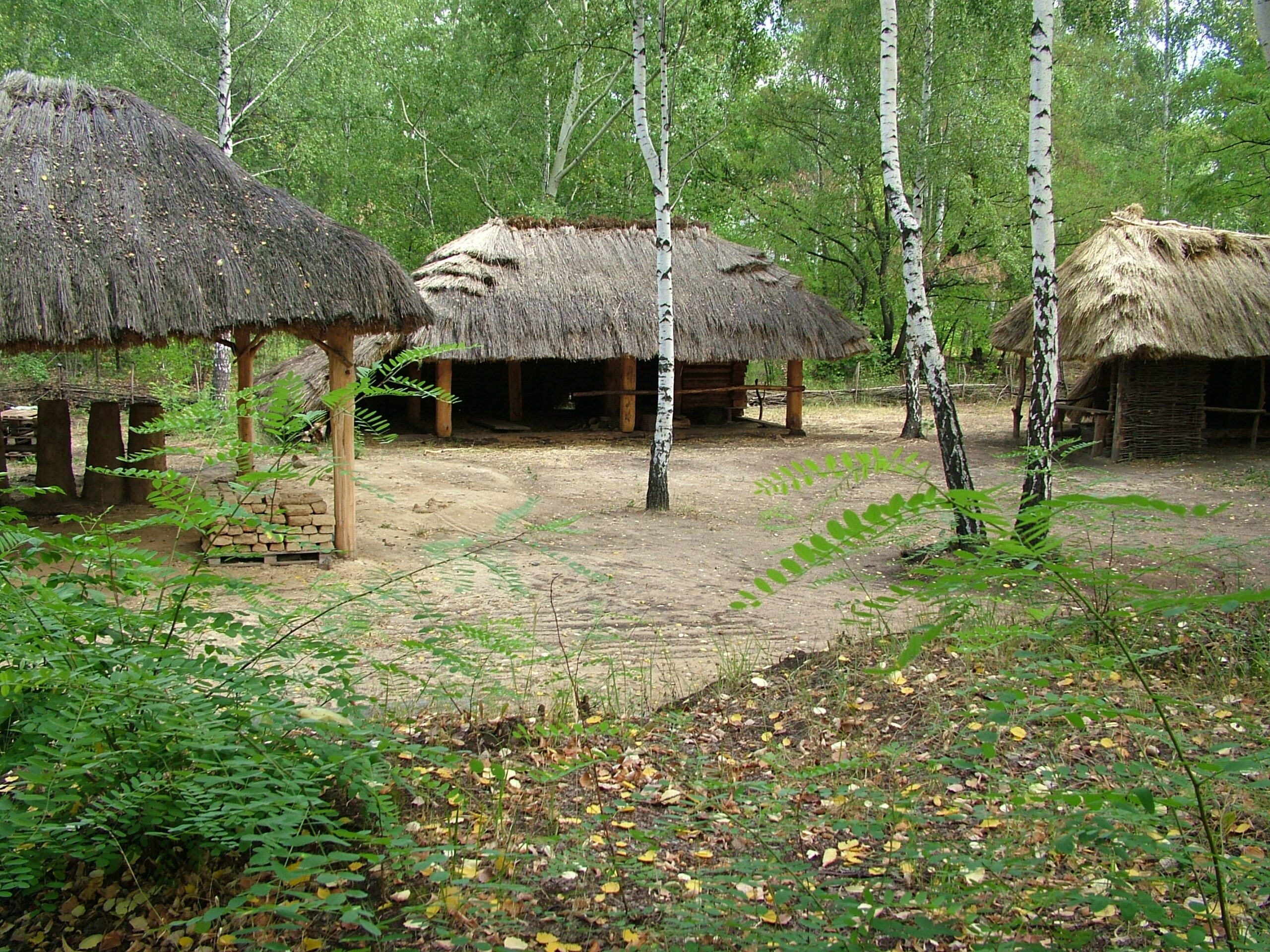 Muzeum Przyrody I Techniki W Starachowicach Muzeum Przyrody i Techniki Ekomuzeum im. Jana Pazdura w Starachowicach