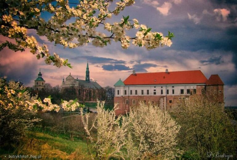 Historia Zamku Królewskiego w Sandomierzu 👑 Rezydencja Królewska