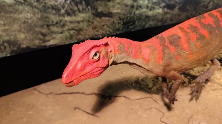„Świat świętokrzyskich dinozaurów” w Muzeum Przyrody i Techniki w Starachowicach