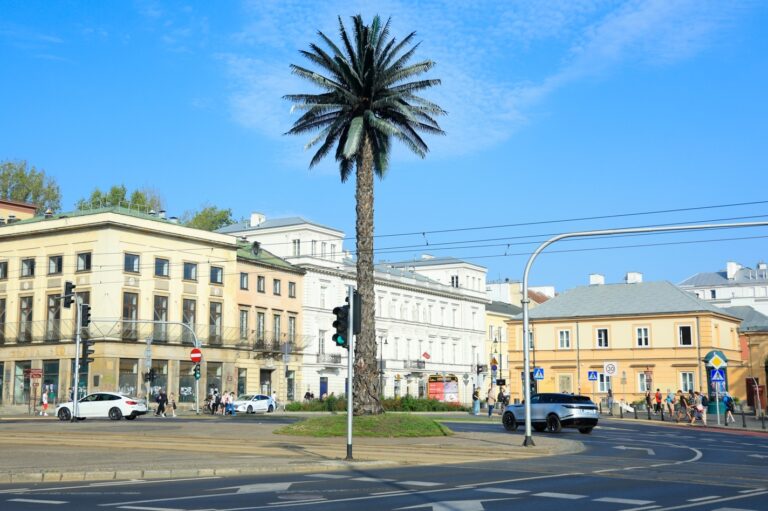 Pozdrowienia z Alej Jerozolimskich. Palma w remoncie