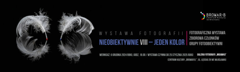 NieObiektywnie VIII – Jeden kolor – Wystawa fotografii grupy Fotoobiektywni