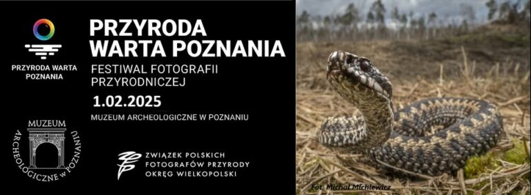 Przyroda Warta Poznania