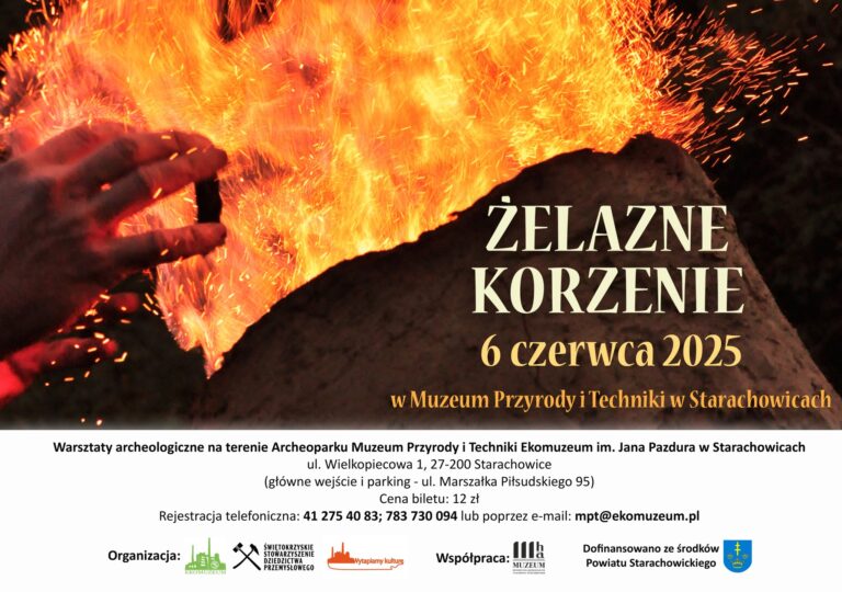 Warsztaty archeologiczne „Żelazne Korzenie”