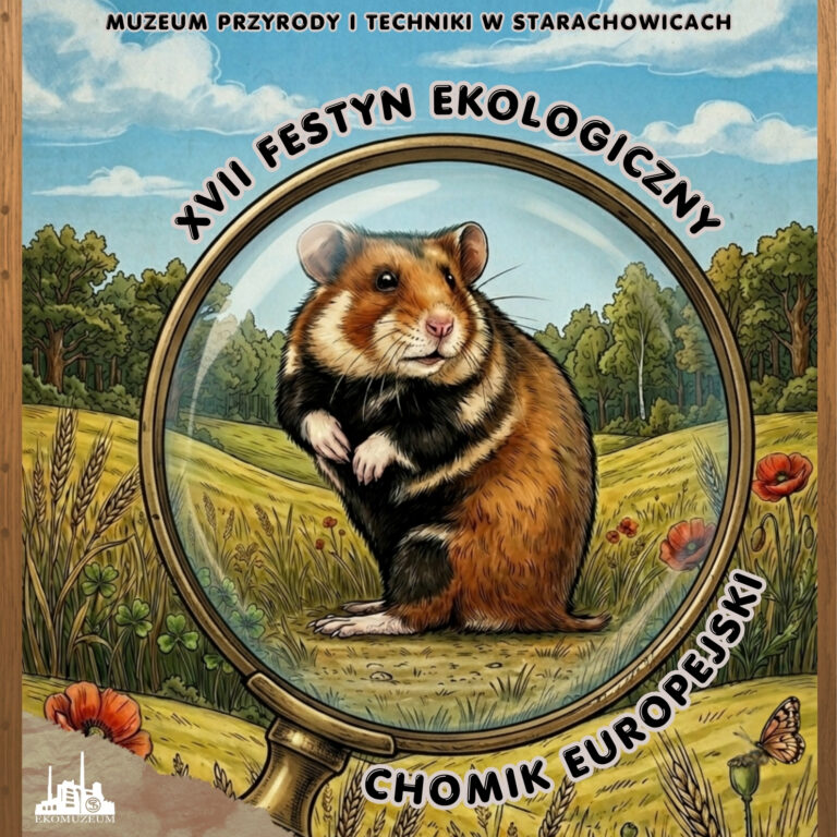 XVII Festyn Ekologiczny „Zaginiony świat naszej Ziemi” – „Chomik europejski – ambasador bioróżnorodności naszych pól”: